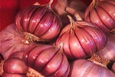 ajo morado de las pedro�eras 